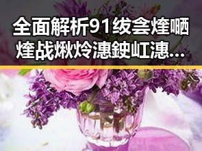 全面解析91绂侌煃嗮煃战煍炩潓鉂屸潓官方版免费版的最新动态