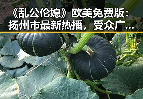 《乱公伦媳》欧美免费版:扬州市最新热播,受众广泛引热议
