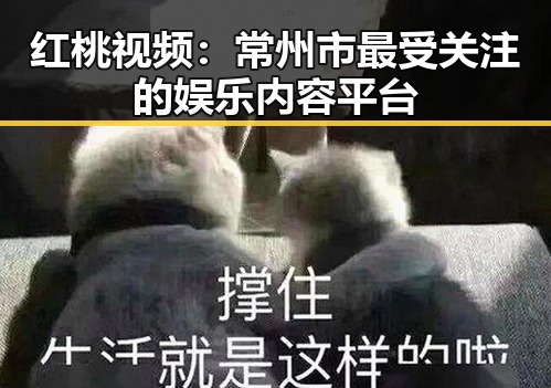 红桃视频：常州市最受关注的娱乐内容平台