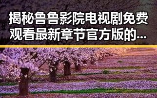 揭秘鲁鲁影院电视剧免费观看最新章节官方版的现状与发展