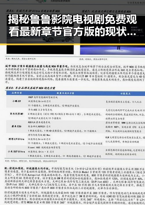揭秘鲁鲁影院电视剧免费观看最新章节官方版的现状与发展