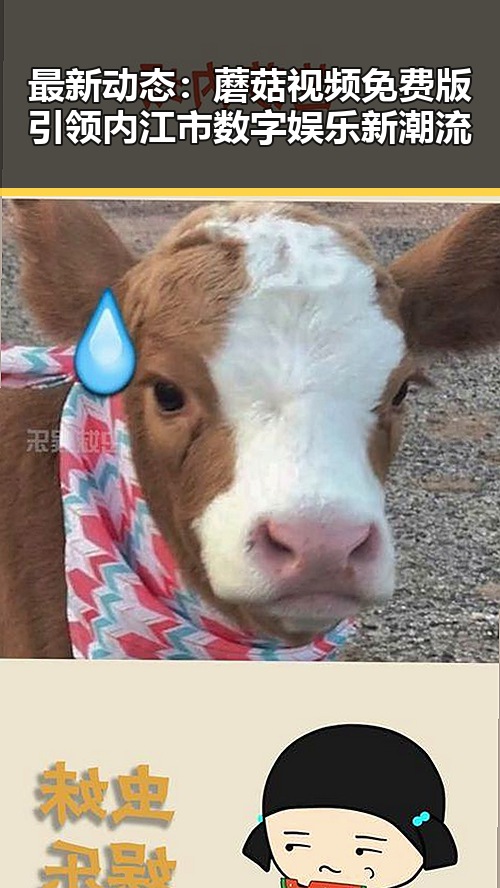最新动态:蘑菇视频免费版引领内江市数字娱乐新潮流