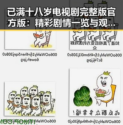 已满十八岁电视剧完整版官方版：精彩剧情一览与观影指南