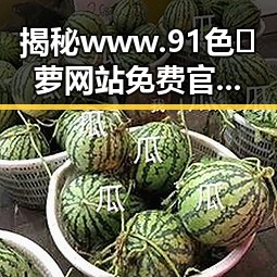 揭秘 www.91色😍萝网站免费官方版：昭通市的网络资源现状