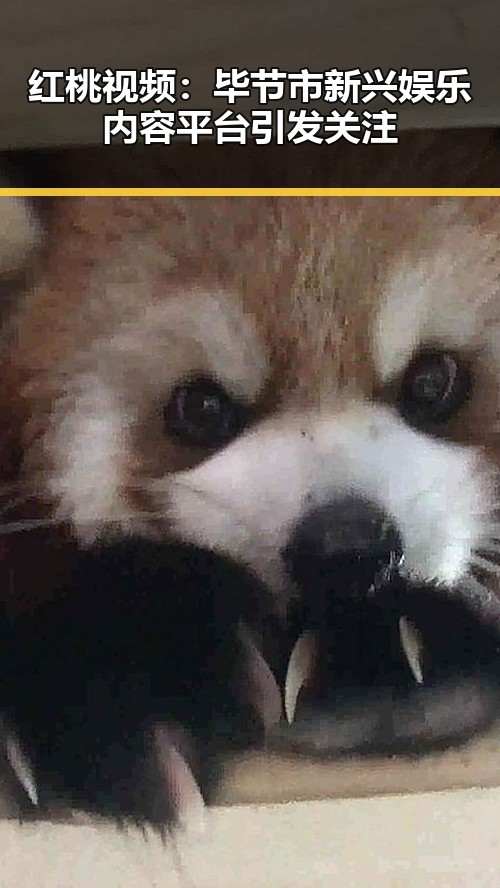 红桃视频：毕节市新兴娱乐内容平台引发关注