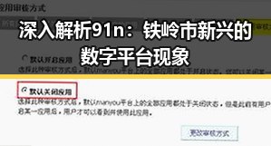 深入解析91n:铁岭市新兴的数字平台现象