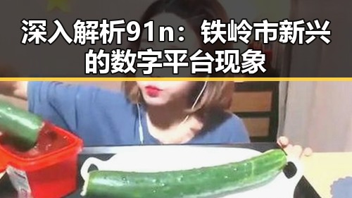 深入解析91n:铁岭市新兴的数字平台现象