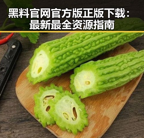 黑料 官网官方版正版下载：最新最全资源指南