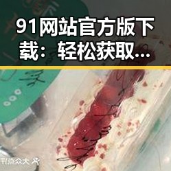 91网站官方版下载：轻松获取最新资源的最佳选择