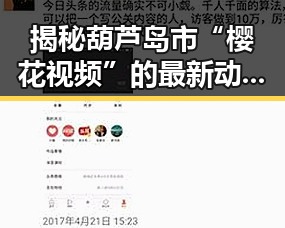 揭秘葫芦岛市“樱花视频”的最新动态与发展