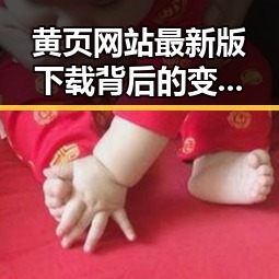 黄页网站最新版下载背后的变革：六安市的数字化探索