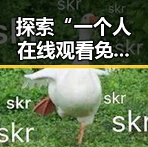 探索“一个人在线观看免费高清电视剧的注官方版下载”的魅力与实用性