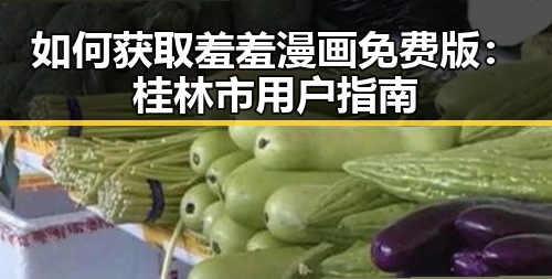 如何获取羞羞漫画免费版：桂林市用户指南