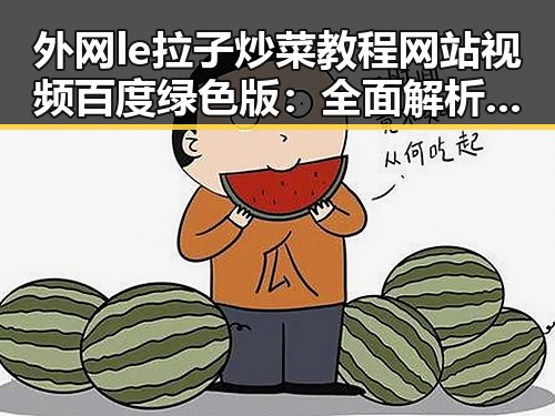 外网le拉子炒菜教程网站视频百度绿色版：全面解析最新使用动态