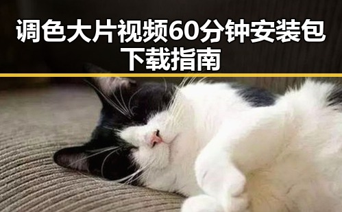 调色大片视频60分钟安装包下载指南