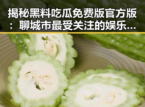 揭秘黑料吃瓜免费版官方版：聊城市最受关注的娱乐信息平台