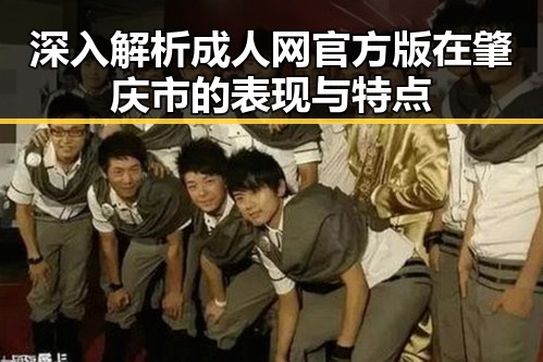 深入解析成人网官方版在肇庆市的表现与特点
