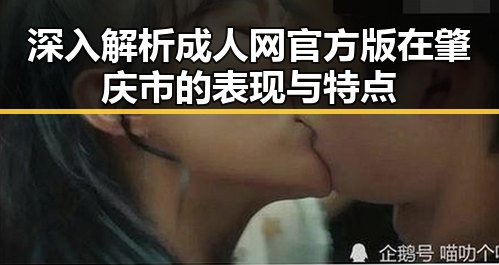 深入解析成人网官方版在肇庆市的表现与特点