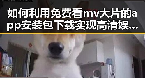 如何利用免费看mv大片的app安装包下载实现高清娱乐体验