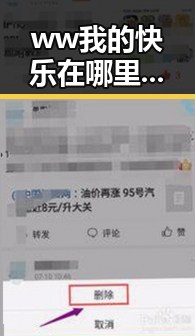 ww我的快乐在哪里最新版下载:探索多彩娱乐新体验