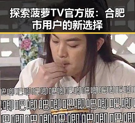 探索菠萝TV官方版：合肥市用户的新选择