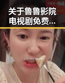 关于鲁鲁影院电视剧免费观看最新章节官方版免费版的深度解析