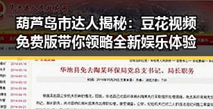葫芦岛市达人揭秘:豆花视频免费版带你领略全新娱乐体验