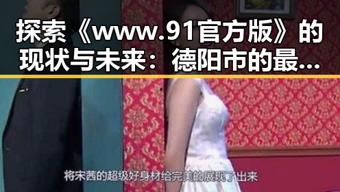 探索《www.91官方版》的现状与未来:德阳市的最新发展趋势