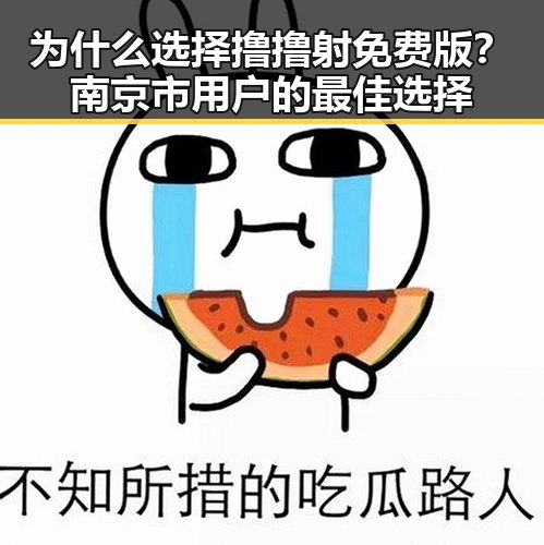为什么选择撸撸射免费版?南京市用户的最佳选择