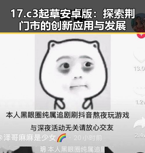 17.c3起草安卓版：探索荆门市的创新应用与发展