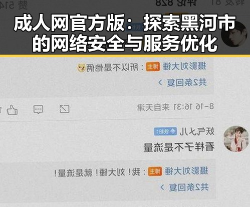 成人网官方版：探索黑河市的网络安全与服务优化