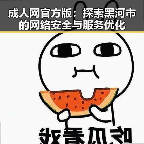 成人网官方版：探索黑河市的网络安全与服务优化