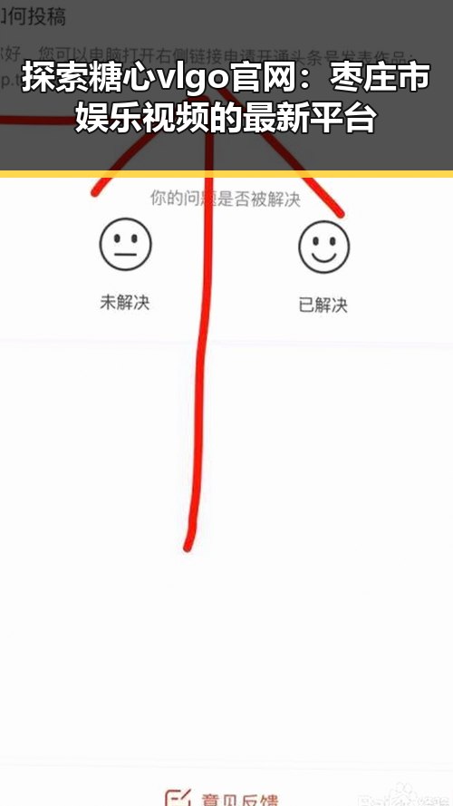 探索糖心vlgo官网：枣庄市娱乐视频的最新平台