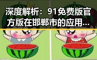 深度解析:91免费版官方版在邯郸市的应用与影响