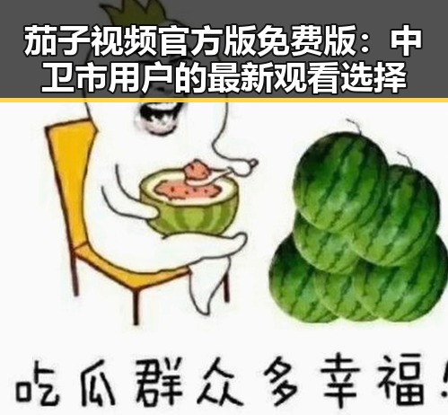 茄子视频官方版免费版：中卫市用户的最新观看选择