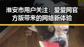 淮安市用户关注：爱爱网官方版带来的网络新体验