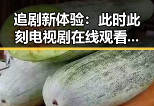 追剧新体验：此时此刻电视剧在线观看的精彩瞬间