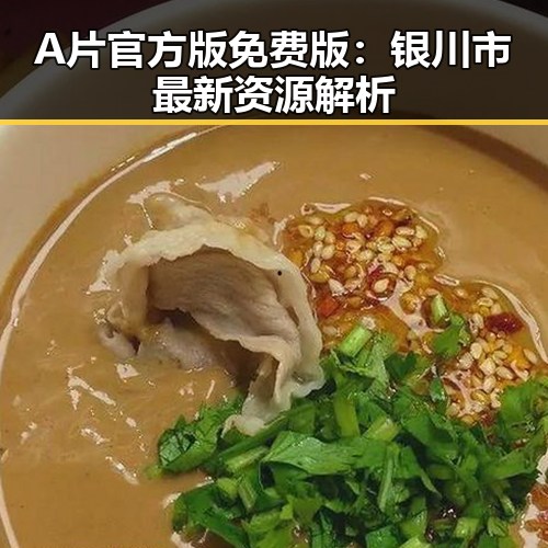 A片官方版免费版:银川市最新资源解析