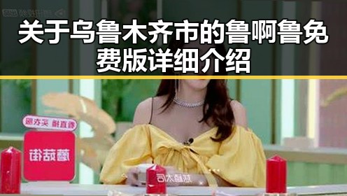 关于乌鲁木齐市的鲁啊鲁免费版详细介绍