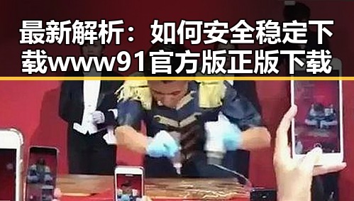 最新解析：如何安全稳定下载 www91官方版正版下载