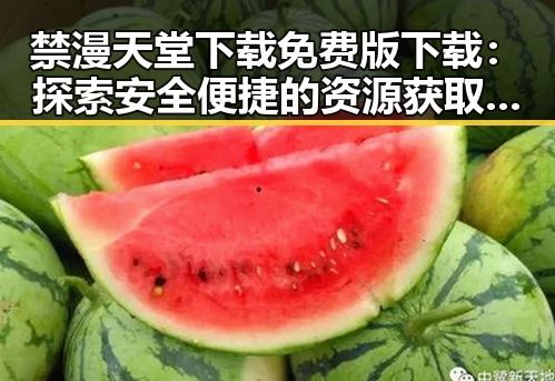禁漫天堂下载免费版下载:探索安全便捷的资源获取方式