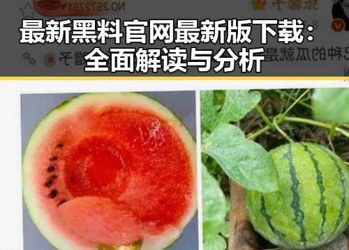 最新黑料 官网最新版下载:全面解读与分析