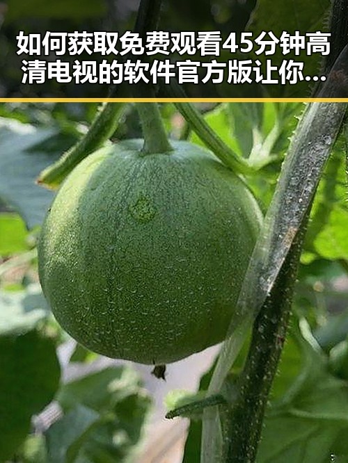 如何获取 免费观看45分钟高清电视的软件官方版 让你畅享高清内容