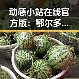 动感小站在线官方版：鄂尔多斯市的精彩体验