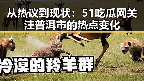 从热议到现状：51吃瓜网关注普洱市的热点变化