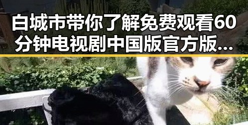白城市带你了解 免费观看60分钟电视剧中国版官方版最新动态