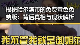 揭秘哈尔滨市的免费黄色免费版：背后真相与现状解析