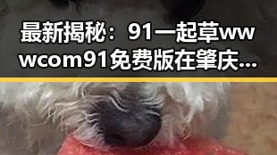 最新揭秘：91 一起草wwwcom91免费版在肇庆市的应用与影响