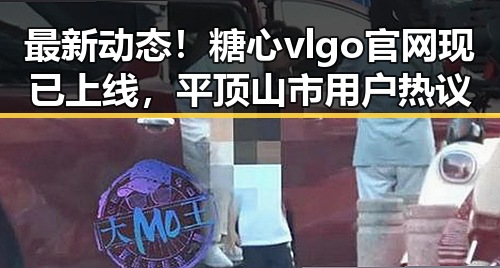 最新动态!糖心vlgo官网现已上线,平顶山市用户热议