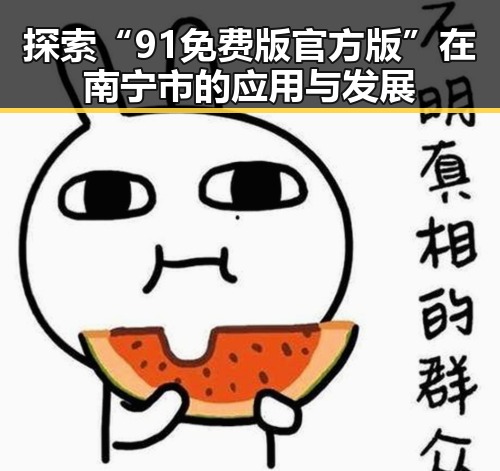 探索“91免费版官方版”在南宁市的应用与发展